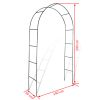 Garden Arch 2 pcs Climbing Plants