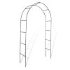 Garden Arch 2 pcs Climbing Plants