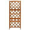 Trellis with Shelves 21.6"x11.8"x55.1" Solid Fir Wood