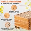 VEVOR Beehive Box Kit Bee Honey Hive